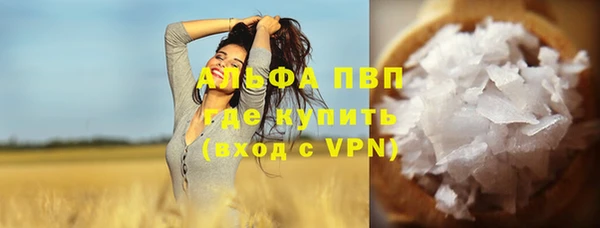стафф Алзамай