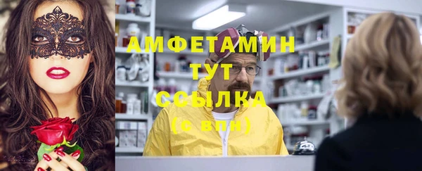 стафф Алзамай