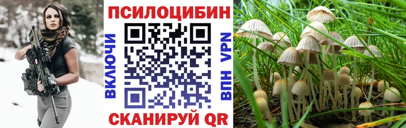 где найти   Красноуральск  Псилоцибиновые грибы GOLDEN TEACHER 